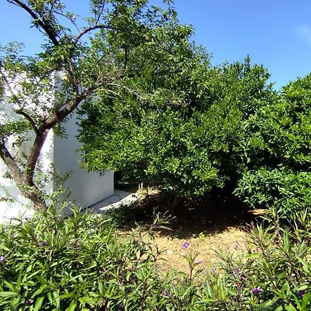Holiday home Garden Panormos (Kalymnos)